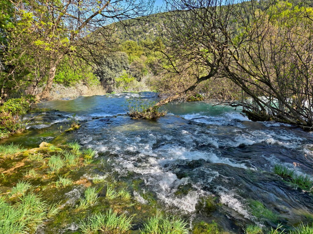 Flowing river rapids and forest landscape in Krka National Park, Croatia