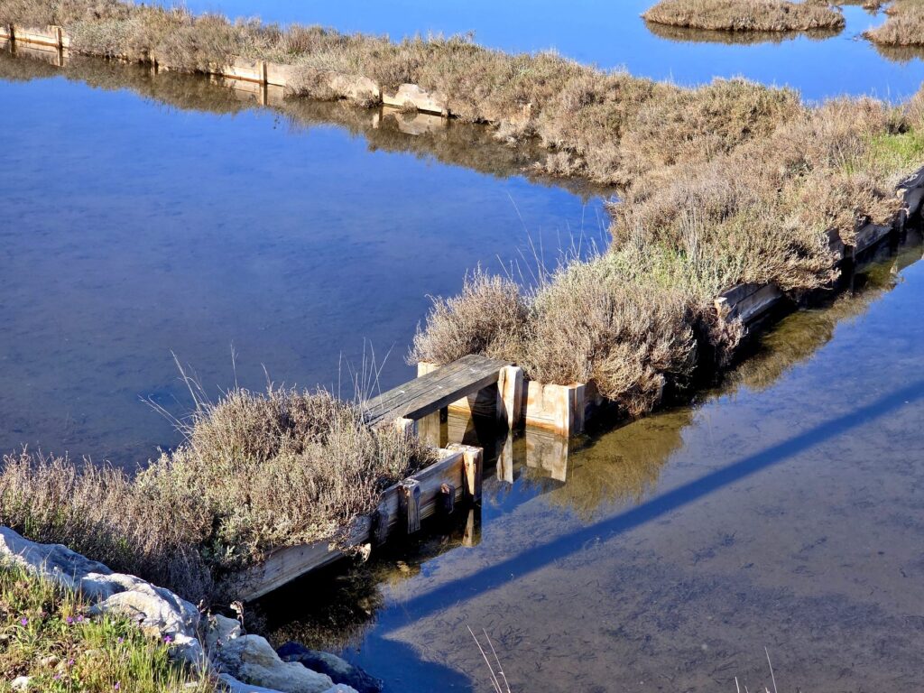 Shallow salt ponds separated by wooden barriers and vegetation in Nin, Croatia