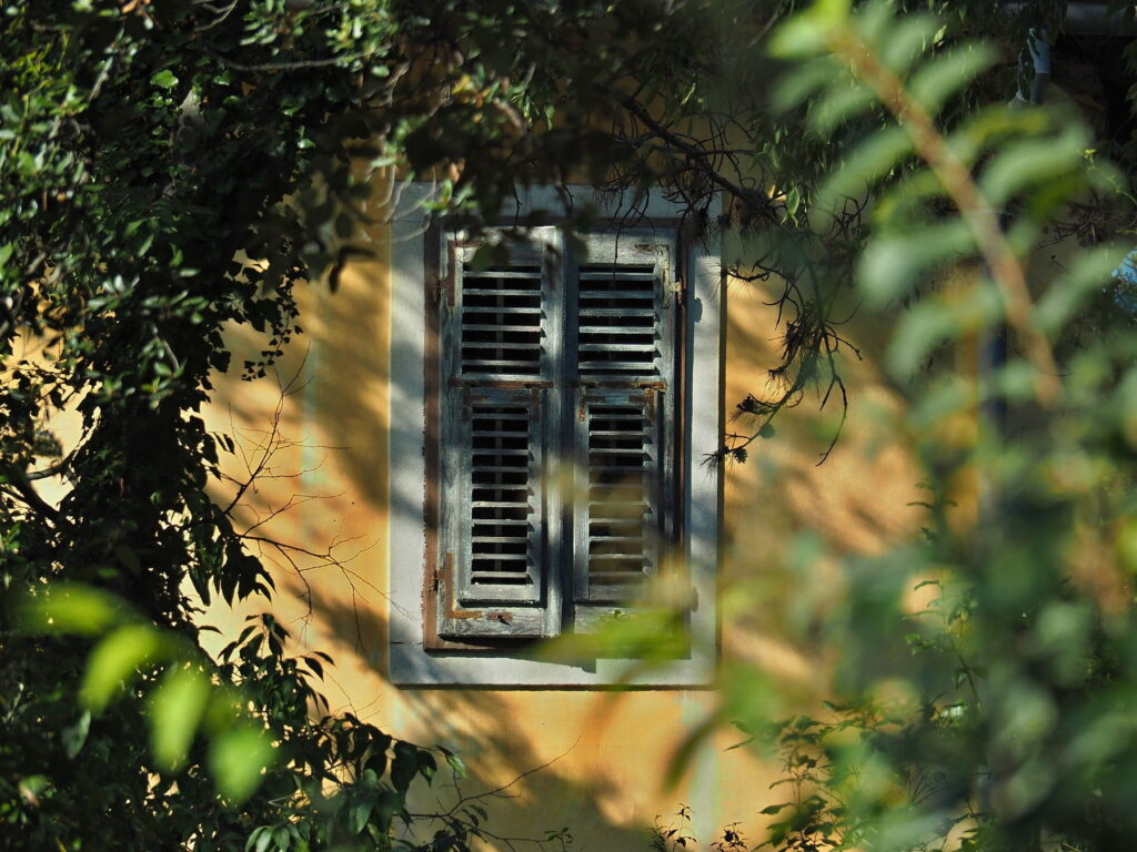 Rustic wooden window shutters framed by greenery in Rabac, Croatia