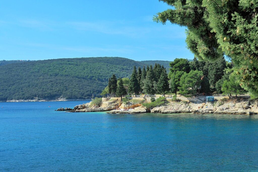 Rocky coastline and pine trees near Rabac, Croatia