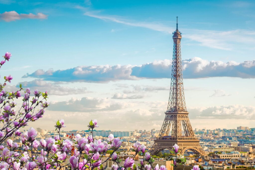 Eiffel Tower above Paris skyline with blooming magnolia flowers in France